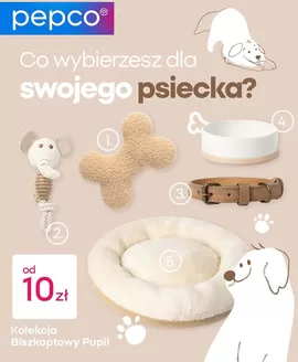 Katalog Pepco w: Ostrów Mazowiecka | Pepco gazetka | 2026-07-06T00:00:00.000Z - 2026-07-20T00:00:00.000Z