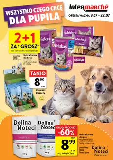 Katalog Intermarche w: Szczuczyn | Atrakcyjne oferty specjalne dla wszystkich | 2026-07-09T00:00:00.000Z - 2026-07-22T00:00:00.000Z