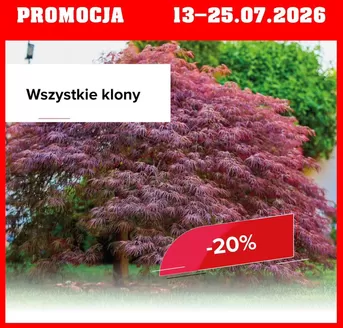 Katalog Szarotka w: Konin | Promocja do 25.07 | 2026-07-13T00:00:00.000Z - 2026-07-25T00:00:00.000Z