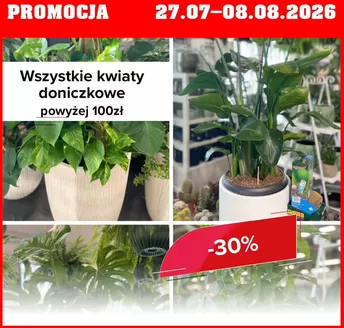 Katalog Szarotka w: Krościenko nad Dunajcem | Promocja do 8.08  | 2026-07-28T00:00:00.000Z - 2026-08-08T00:00:00.000Z