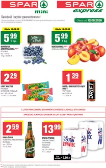 Katalog SPAR w: Brzesko | T33 mini 2 | 2026-08-12T00:00:00.000Z - 2026-08-23T00:00:00.000Z