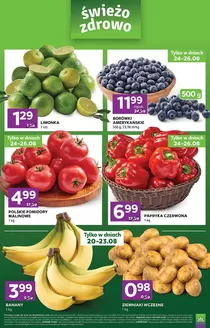 Katalog Stokrotka w: Puchaczów | Express | 2026-08-20T00:00:00.000Z - 2026-08-26T00:00:00.000Z