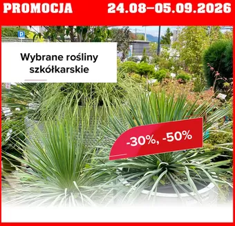 Katalog Szarotka | Promocja do 5.09  | 2026-08-31T00:00:00.000Z - 2026-09-05T00:00:00.000Z