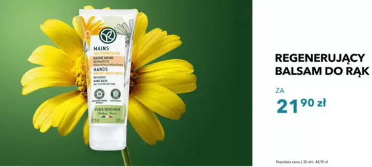 Katalog Yves Rocher w: Bydgoszcz | Do - 50 %  | 2026-09-01T00:00:00.000Z - 2026-09-20T00:00:00.000Z