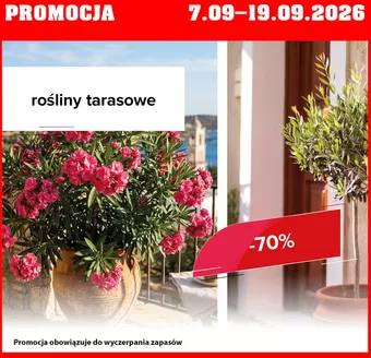 Katalog Szarotka | Promocja do 19.09 | 2026-09-08T00:00:00.000Z - 2026-09-19T00:00:00.000Z