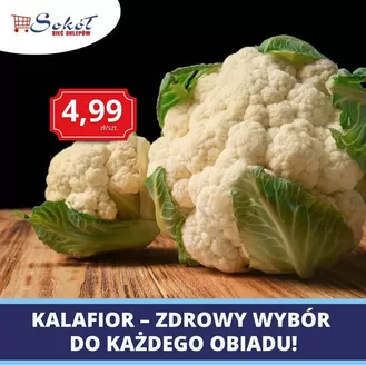 Katalog Sokół w: Opole Lubelskie | sokol gazetka | 2026-09-11T00:00:00.000Z - 2026-09-25T00:00:00.000Z