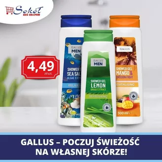 Katalog Sokół | Ekskluzywne oferty dla naszych klientów | 2026-09-12T00:00:00.000Z - 2026-09-26T00:00:00.000Z