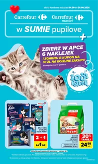 Katalog Carrefour w: Strumień | Gazetka Carrefour Market w SUMIE pupilove | 2026-09-13T00:00:00.000Z - 2026-09-26T00:00:00.000Z