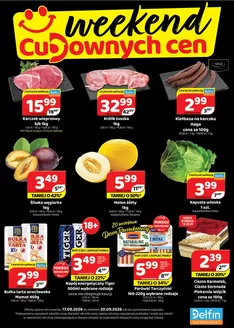 Katalog Delfin w: Rzgów Pierwszy | Aktualne promocje specjalne | 2026-09-17T00:00:00.000Z - 2026-09-20T00:00:00.000Z