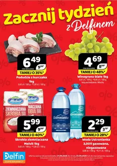 Katalog Delfin w: Ożarów Mazowiecki | Delfin gazetka | 2026-09-21T00:00:00.000Z - 2026-09-23T00:00:00.000Z