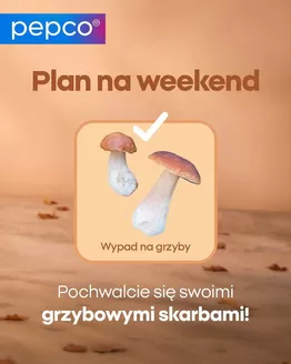 Katalog Pepco | Szeroki wybór ofert | 2026-09-24T00:00:00.000Z - 2026-10-08T00:00:00.000Z