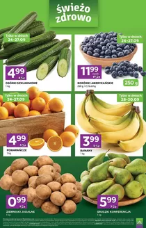 Katalog Stokrotka | Stokrotka Express | 2026-09-24T00:00:00.000Z - 2026-09-30T00:00:00.000Z