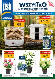 Katalog PSB Mrówka | Aktualne oferty i promocje | 2026-09-11T00:00:00.000Z - 2026-10-13T00:00:00.000Z