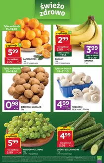 Katalog Stokrotka | Express | 2026-10-15T00:00:00.000Z - 2026-10-21T00:00:00.000Z