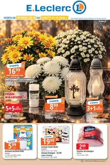 Katalog E.Leclerc w: Godów | E.Leclerc gazetka | 2026-10-20T00:00:00.000Z - 2026-10-31T00:00:00.000Z