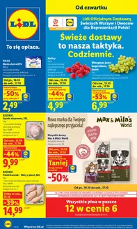 Katalog Lidl w: Podkowa Leśna | 15.10 | 2026-10-15T00:00:00.000Z - 2026-10-17T00:00:00.000Z