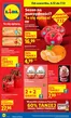 Katalog Lidl | GAZETKA OD 4.12 | 2025-12-04T00:00:00.000Z - 2025-12-07T00:00:00.000Z