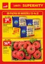 Katalog Polomarket w: Golina | Nowe oferty do odkrycia | 2025-12-12T00:00:00.000Z - 2025-12-14T00:00:00.000Z