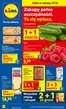 Katalog Lidl w: Nowa Sól | GAZETKA TYLKO 27.12 | 2025-12-27T00:00:00.000Z - 2025-12-27T00:00:00.000Z