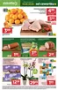 Katalog Stokrotka w: Bielsk Podlaski | Aktualne oferty i promocje | 2026-01-15T00:00:00.000Z - 2026-01-21T00:00:00.000Z