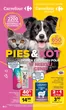 Katalog Carrefour w: Przechlewo | Gazetka Pies kot od poniedziałku | 2026-02-01T00:00:00.000Z - 2026-02-14T00:00:00.000Z