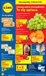 Katalog Lidl w: Przechlewo | GAZETKA OD 5.02 | 2026-02-05T00:00:00.000Z - 2026-02-07T00:00:00.000Z