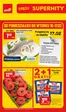 Katalog Polomarket | Aktualne oferty i promocje | 2026-02-16T00:00:00.000Z - 2026-02-17T00:00:00.000Z