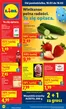 Katalog Lidl w: Dobroszyce | Gazetka od 16.03 | 2026-03-16T00:00:00.000Z - 2026-03-18T00:00:00.000Z