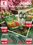 Katalog Kaufland | Ekskluzywne oferty i okazje | 2026-03-19T00:00:00.000Z - 2026-03-25T00:00:00.000Z