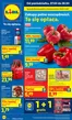 Katalog Lidl | Gazetka od 27.04 | 2026-04-27T00:00:00.000Z - 2026-04-28T00:00:00.000Z
