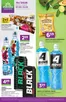 Katalog Stokrotka | Świetna oferta dla wszystkich klientów | 2026-05-07T00:00:00.000Z - 2026-05-13T00:00:00.000Z