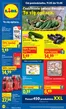 Katalog Lidl | Gazetka ważna od 11.05 | 2026-05-11T00:00:00.000Z - 2026-05-13T00:00:00.000Z