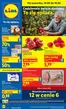 Katalog Lidl | Gazetka od 14.05 | 2026-05-14T00:00:00.000Z - 2026-05-16T00:00:00.000Z