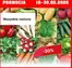 Katalog Szarotka w: Radom | Promocja do 30.05  | 2026-05-18T00:00:00.000Z - 2026-05-30T00:00:00.000Z