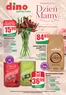 Katalog Dino w: Ryki | Katalog dzien mamy 2026 7 stron vr4 1x | 2026-05-22T00:00:00.000Z - 2026-05-26T00:00:00.000Z