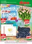Katalog Dino w: Ryki | Dino 21 26 www small v04 1 | 2026-05-20T00:00:00.000Z - 2026-05-26T00:00:00.000Z