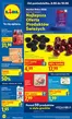 Katalog Lidl | Gazetka od 8.06 | 2026-06-08T00:00:00.000Z - 2026-06-10T00:00:00.000Z