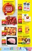 Katalog Biedronka w: Kazimierz Biskupi | Najlepsze oferty dla wszystkich klientów | 2026-06-22T00:00:00.000Z - 2026-06-28T00:00:00.000Z