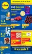 Katalog Lidl | Gazetka od 25.06 | 2026-06-25T00:00:00.000Z - 2026-06-28T00:00:00.000Z