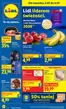 Katalog Lidl w: Kisiny | Gazetka od 2.07 | 2026-07-02T00:00:00.000Z - 2026-07-04T00:00:00.000Z