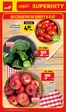 Katalog Polomarket w: Suwałki | Katalog Superhity | 2026-07-09T00:00:00.000Z - 2026-07-11T00:00:00.000Z