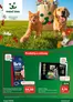 Katalog Maxi Zoo w: Słupca | Superoferty z najnowszej gazetki! | 2026-07-10T00:00:00.000Z - 2026-07-15T00:00:00.000Z