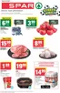 Katalog SPAR w: Żywiec | T29 spar 3 | 2026-07-15T00:00:00.000Z - 2026-07-26T00:00:00.000Z