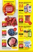 Katalog Biedronka w: Kosów Lacki | Odkryj atrakcyjne oferty | 2026-07-13T00:00:00.000Z - 2026-07-18T00:00:00.000Z
