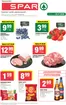 Katalog SPAR w: Tarnobrzeg | T31 spar 4 | 2026-07-29T00:00:00.000Z - 2026-09-08T00:00:00.000Z
