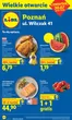 Katalog Lidl w: Wolsztyn | Wielkie otwarcie Lidla w Poznaniu | 2026-07-30T00:00:00.000Z - 2026-08-08T00:00:00.000Z