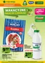 Katalog Groszek w: Libusza | Najlepsze oferty dla wszystkich klientów | 2026-07-30T00:00:00.000Z - 2026-08-05T00:00:00.000Z