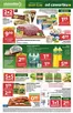 Katalog Stokrotka w: Gajków | Supermarket | 2026-07-30T00:00:00.000Z - 2026-08-05T00:00:00.000Z