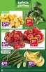 Katalog Stokrotka | Express | 2026-07-30T00:00:00.000Z - 2026-08-05T00:00:00.000Z
