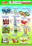 Katalog Livio | Szeroki wybór ofert | 2026-07-29T00:00:00.000Z - 2026-08-11T00:00:00.000Z